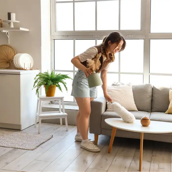 Présentation visuelle